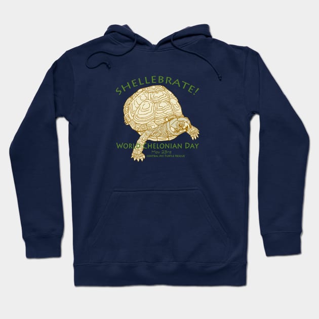 Happy World Turtle Day - World Chelonian Day! Hoodie by CMTR Store